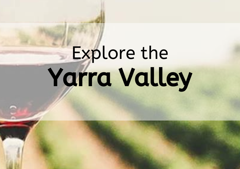 Yarra Valley Wine Tours