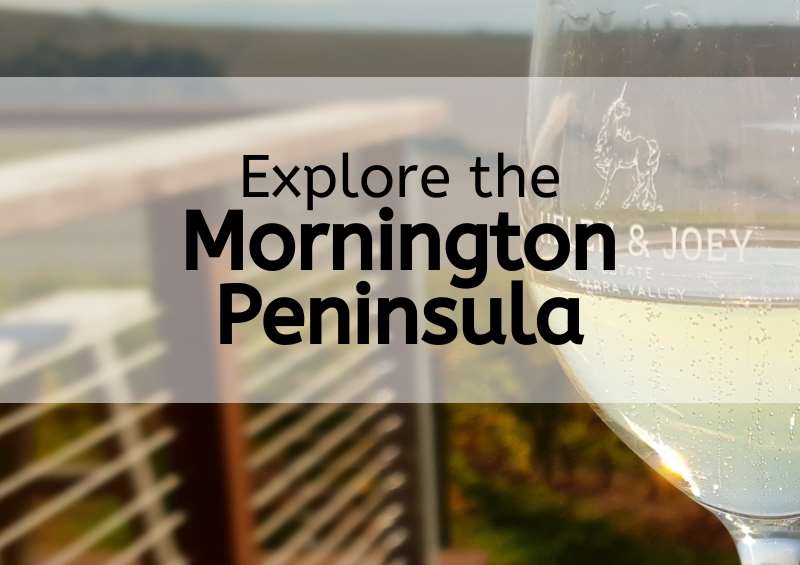 Mornington Peninsula wine tasting