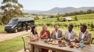 All-Inclusive Yarra Valley Wine Tour: What to Expect in 2026