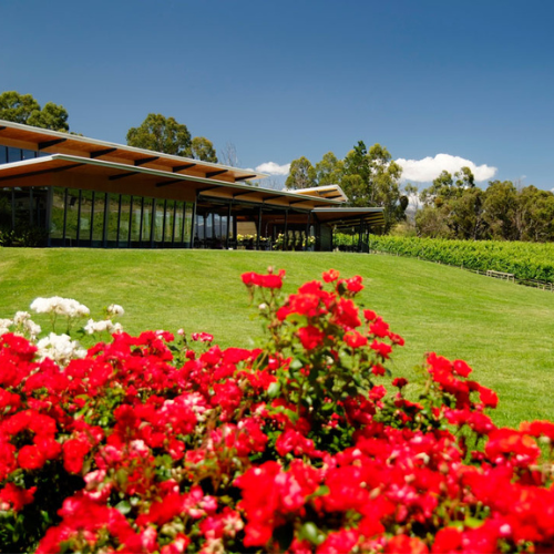 Balgownie Estate 1 _ Happy Sips Wine Tours