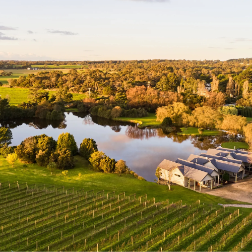 Crittenden Vineyard 5 _ Happy Sips Wine Tours