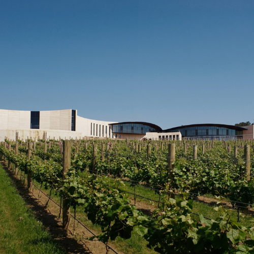 Port Phillip Estate 1 _ Happy Sips Wine Tours