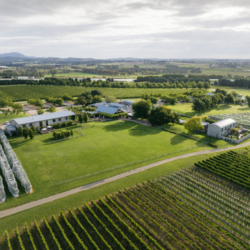 Punt Road Wines 1 _ Happy Sips Wine Tours