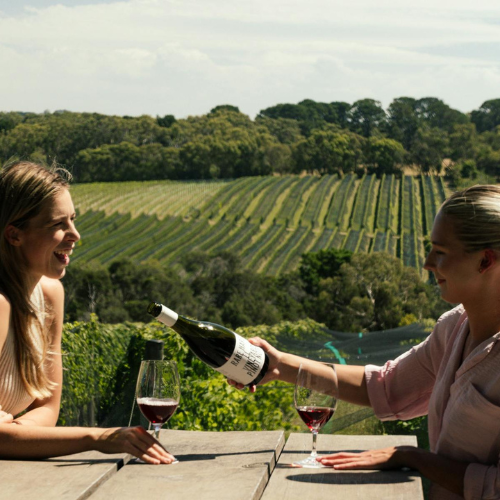 Rare Hare 4 _ Happy Sips Wine Tours